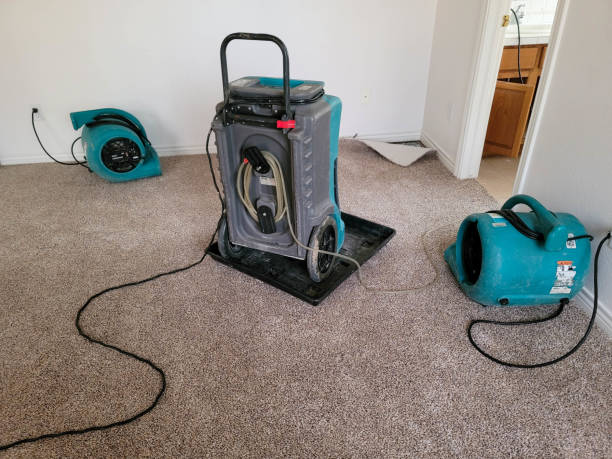 Best Basement water damage restoration  in Marble Falls, TX