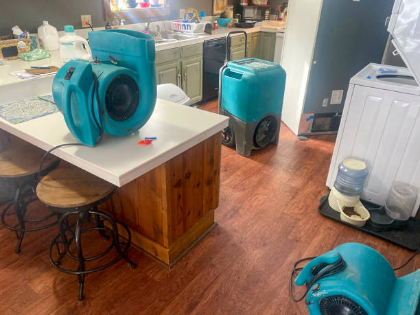 Best Sewage cleanup and water damage restoration  in Marble Falls, TX