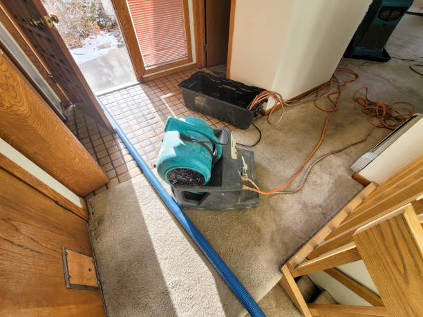 Best Professional water damage repair  in Marble Falls, TX