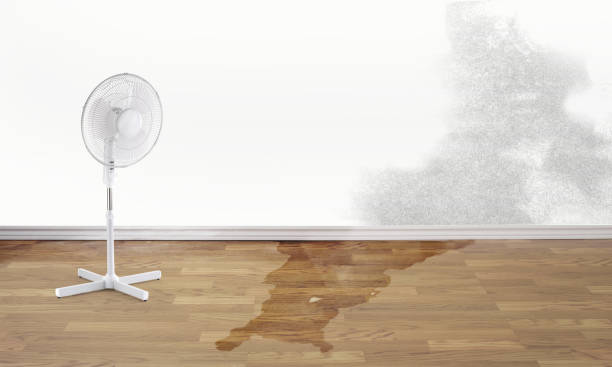 Best Sewage cleanup and water damage restoration  in Marble Falls, TX