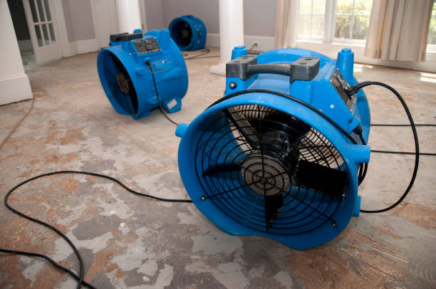 Best Flood restoration services  in Marble Falls, TX