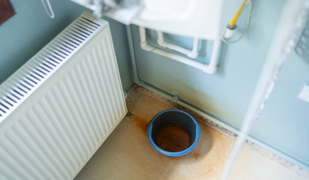 Best Mold removal after water damage  in Marble Falls, TX
